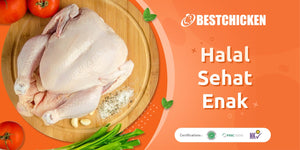 Best Chicken